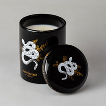 Load image into Gallery viewer, Smoke Incense & Amber