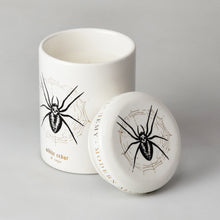 Load image into Gallery viewer, White Cedar & Suede