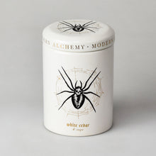Load image into Gallery viewer, White Cedar & Suede