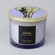 Load image into Gallery viewer, Oasis | Wild Acai &amp; Blueberry

