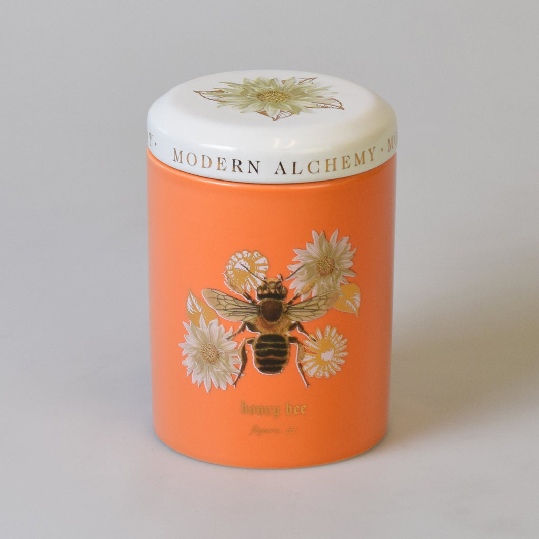 Orange Blossom