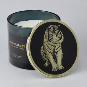 Rainforest | Eucalyptus Leaf & Amber