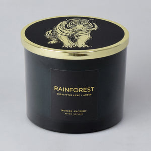 Rainforest | Eucalyptus Leaf & Amber