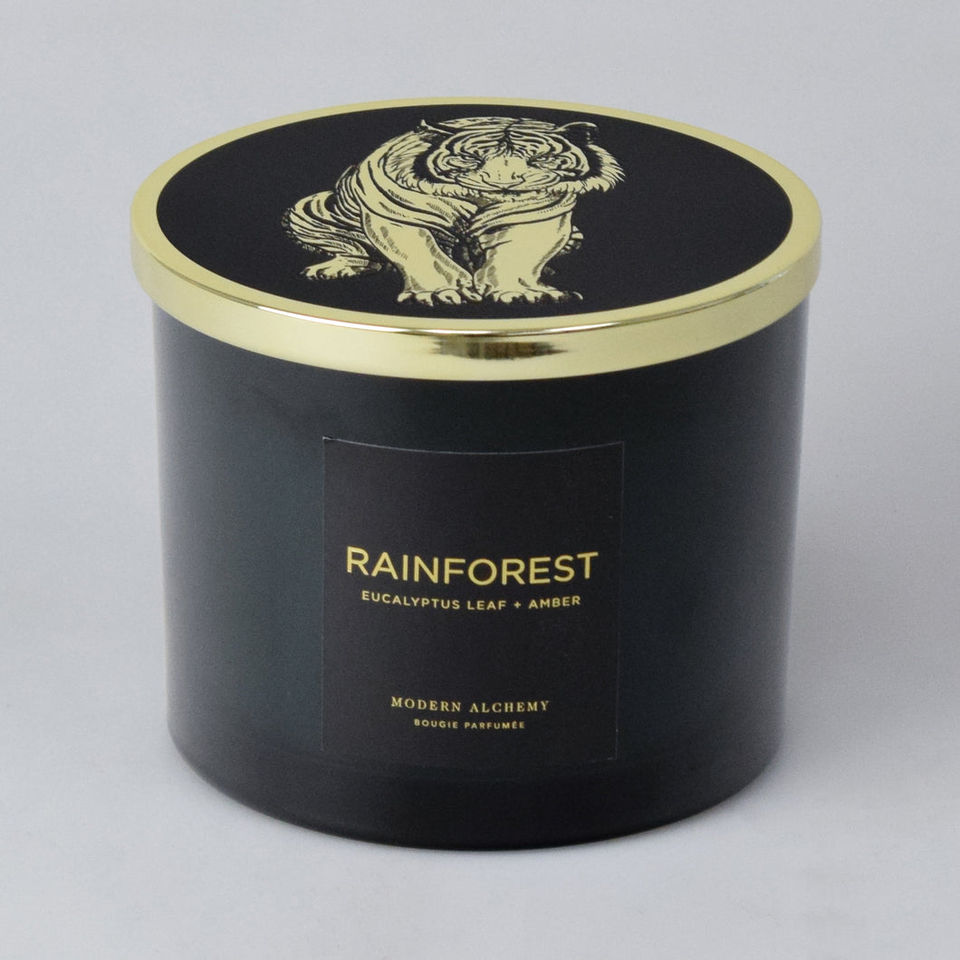Rainforest | Eucalyptus Leaf & Amber
